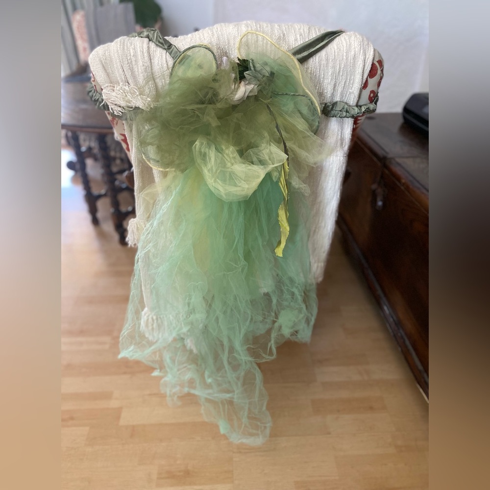 Fairy Wings Halloween costume